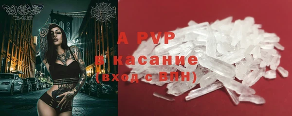 прущие грибы Карталы
