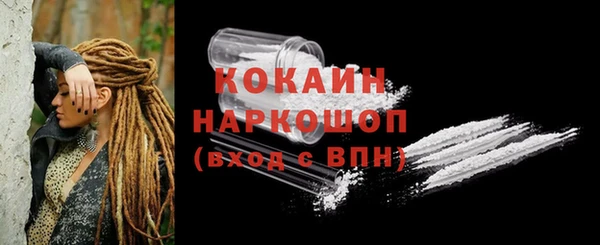 прущие грибы Карталы