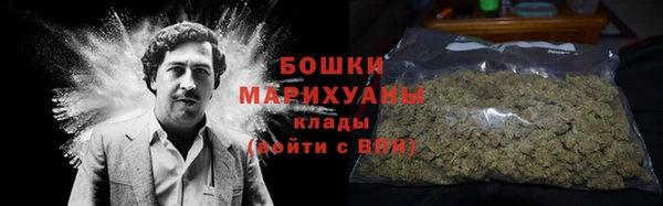 мдпв Карпинск