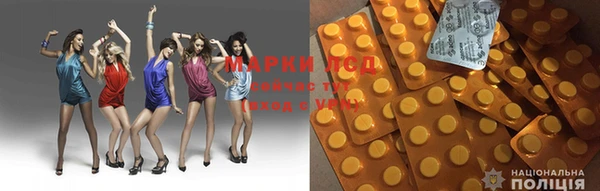 прущие грибы Карталы