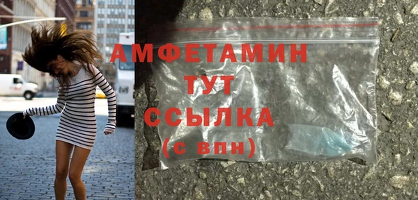 мдпв Карпинск