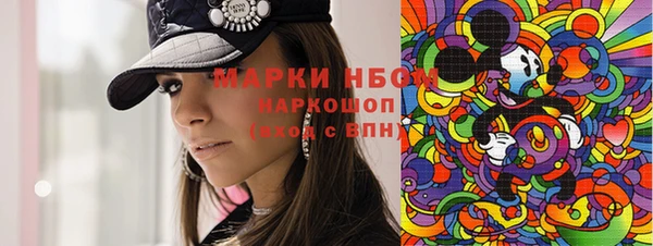 мдпв Карпинск