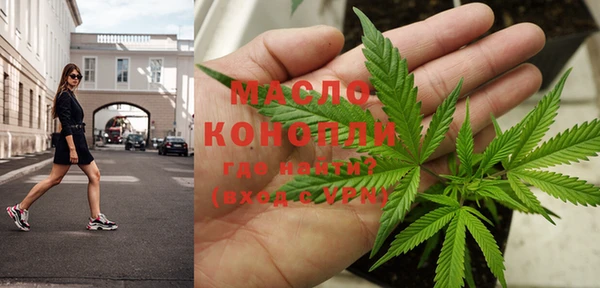 мдпв Карпинск