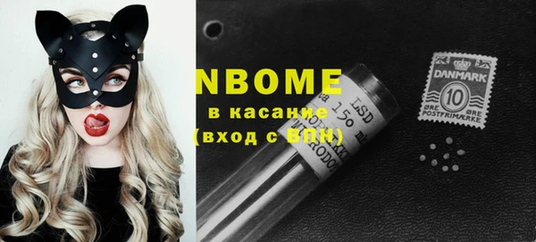 крисы Касимов