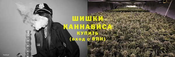 мдпв Карпинск