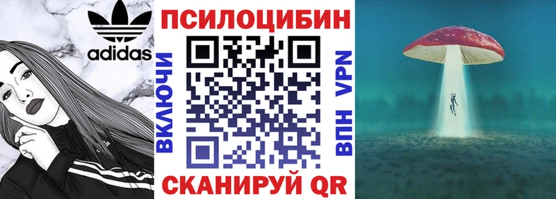 Купить где  Бугульма  Галлюциногенные грибы Cubensis 